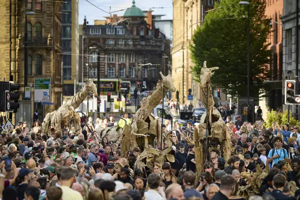 A photo of a crown of people gathered around puppets shaped like life-sized giraffes made of cardboard and wood
