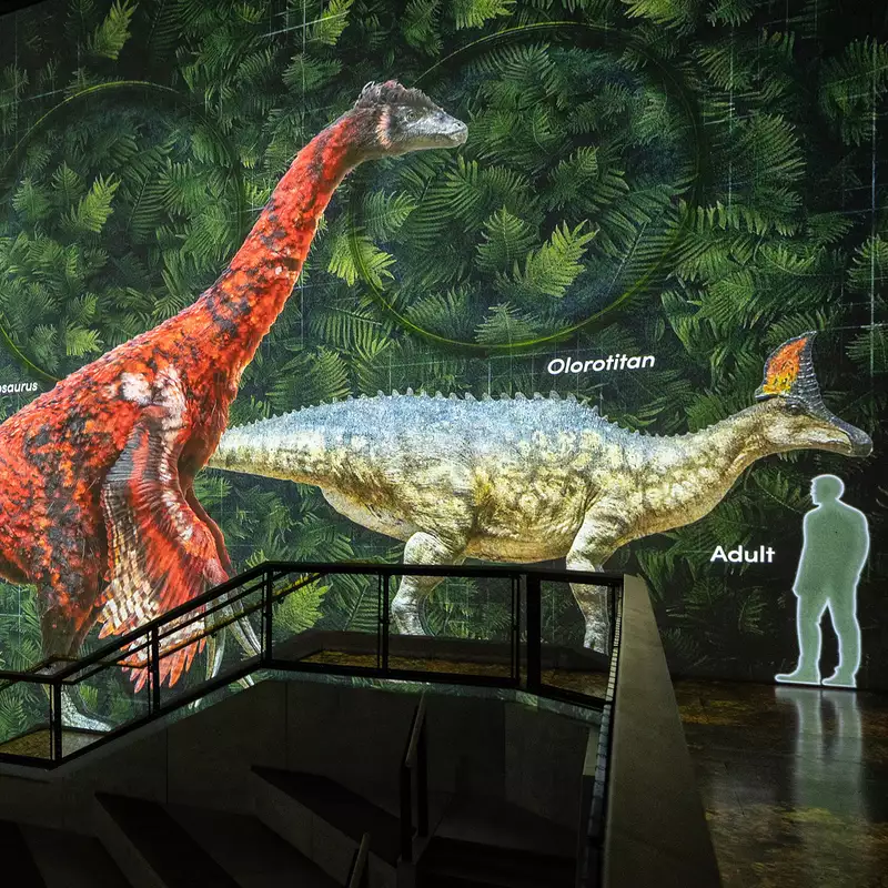 An image from Lightroom's Prehistoric Planet: Discovering Dinosaurs showing dinosaurs labelled on screen next to a human for scale