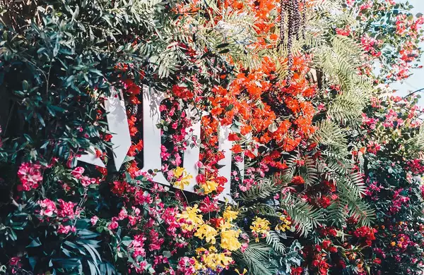 Wall of flowers with MIF logo sign