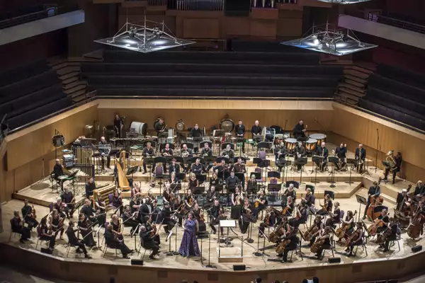 Photo of the orchestra on stage