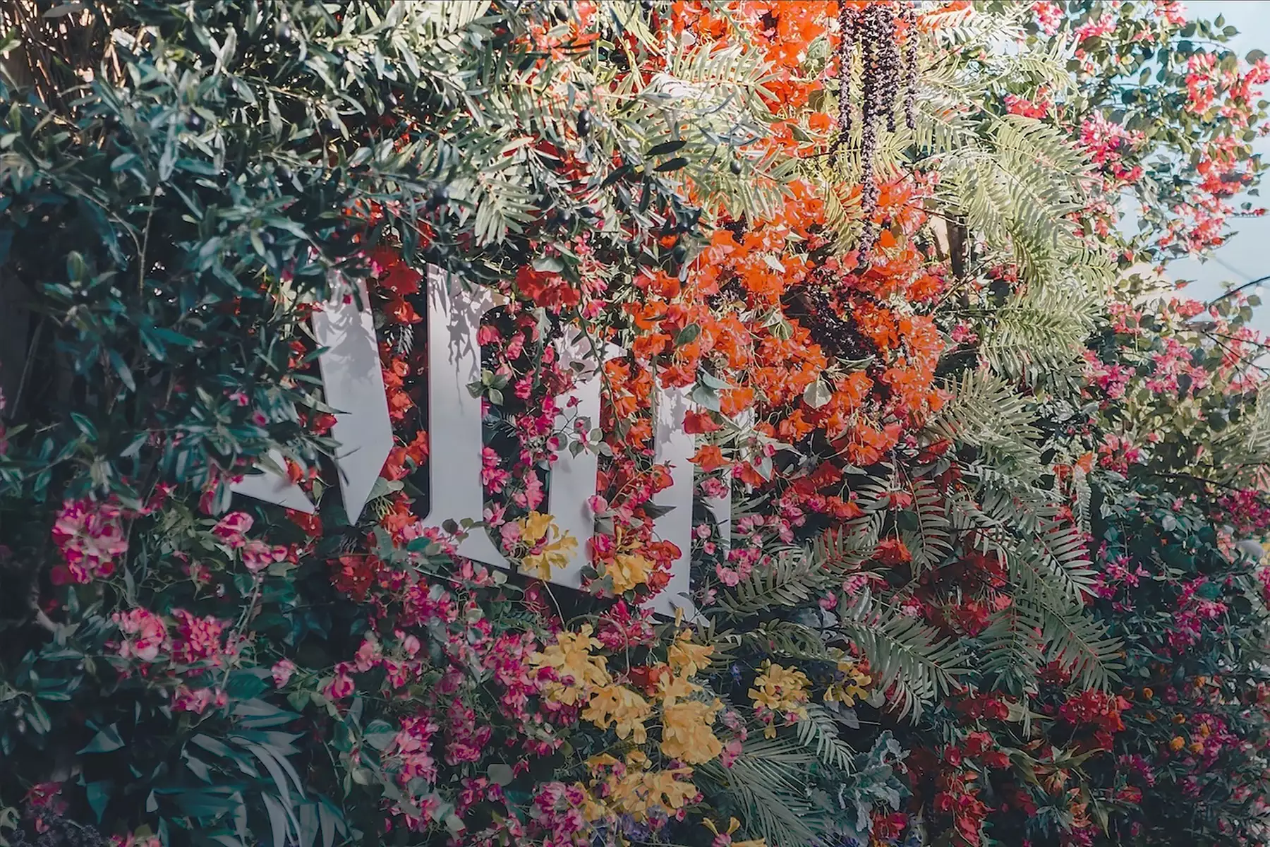 Wall of flowers with MIF logo sign