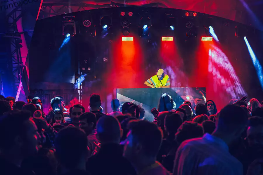 A crowd watch a DJ on stage