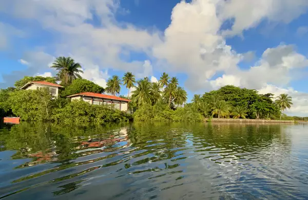 A tranquil waterfront scene shows Sacatar Institute nestled among palm trees and greenery, with reflections shimmering on the calm water. The sky is partly cloudy and sunny.