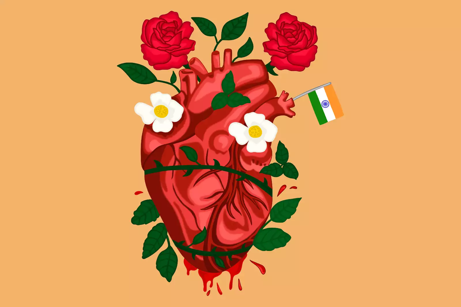 Illustration on light brown background of an anatomical heart, which is entangled by thorns and bleeding at the bottom. Leaves and a few flowers are sprouting out of the thorns, including two red roses at the top and two white daisies on the atria. A small Indian flag pokes out of the left pulmonary vein.