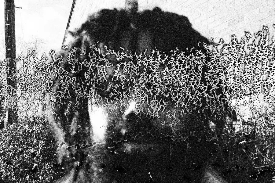 Black and white pixelated photo of Algernon