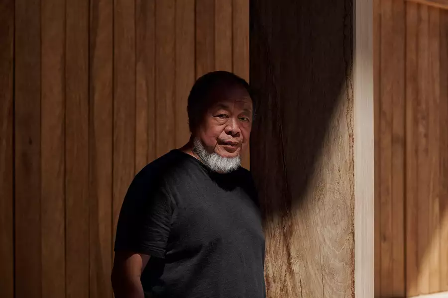 Ai Weiwei wearing a black t-shirt, stood in front of a wooden backdrop. There is a shadow across his face.