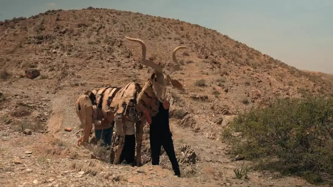 A puppet animal travelling through the desert