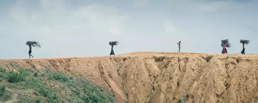 Five people walking across a dry landscape carrying sticks