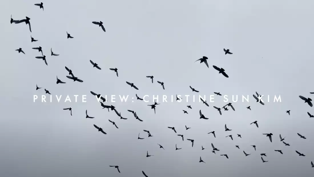 A photo of a flock of birds against a grey sky. The words 'Private View: Christine Sun Kim' appear in white text across the middle of the image.
