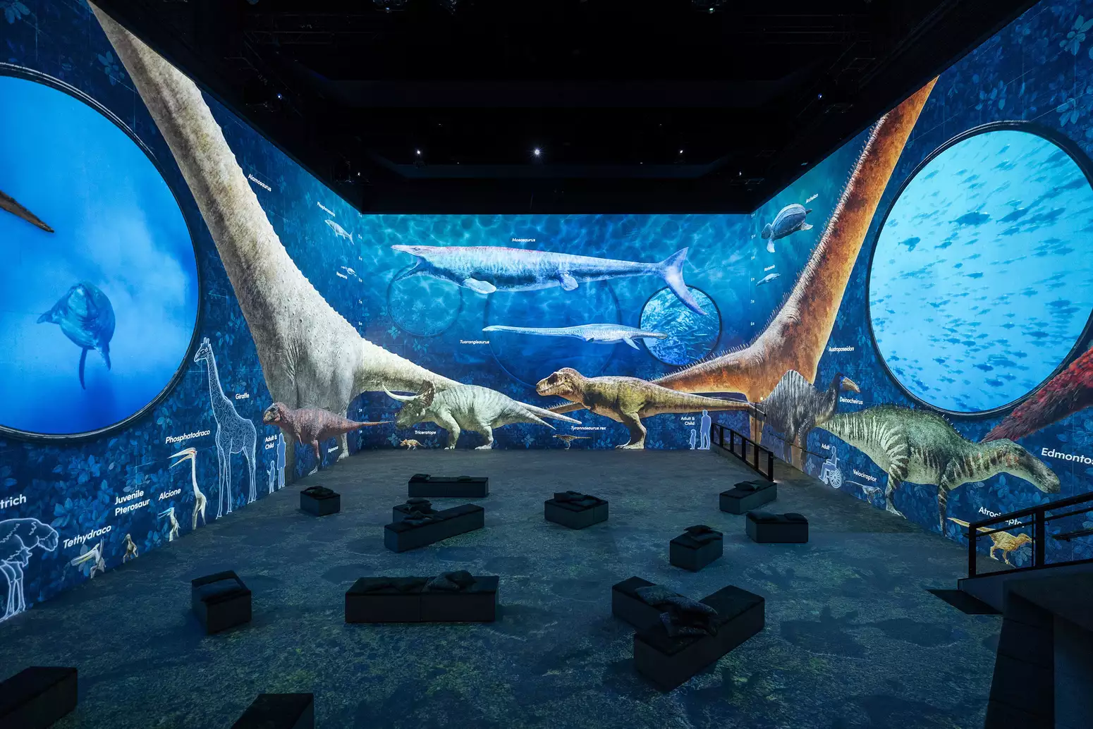 An image from Lightroom's Prehistoric Planet: Discovering Dinosaurs showing dinosaurs on a dark blue screen