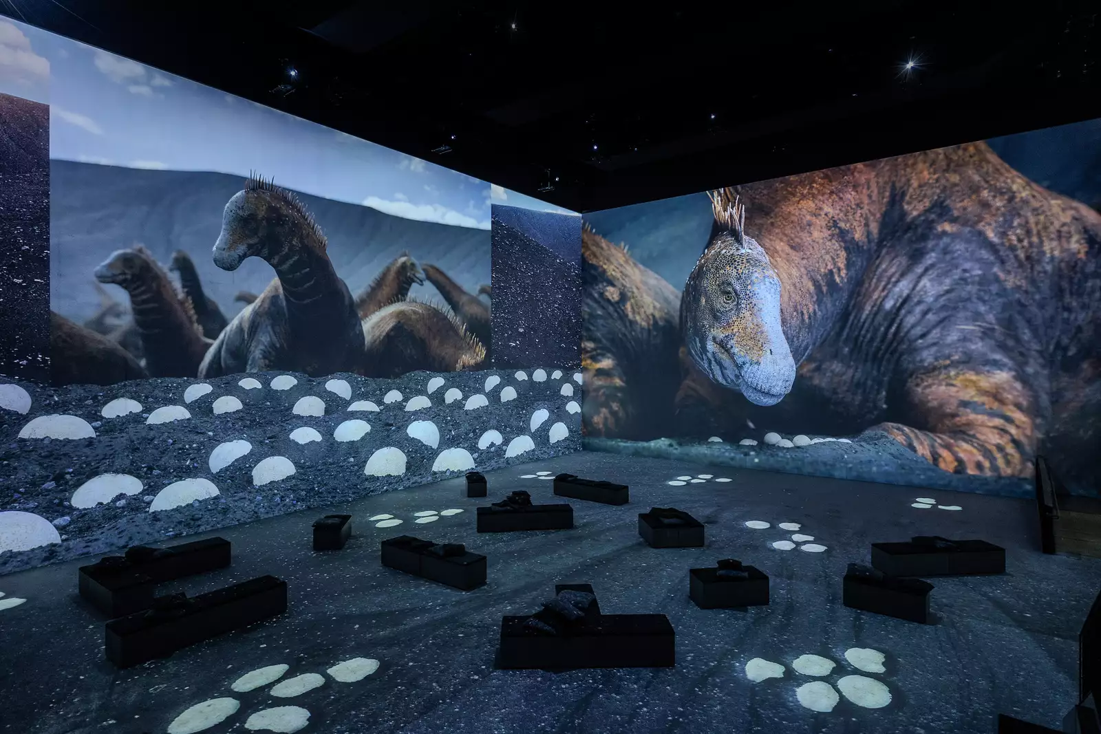 An image from Lightroom's Prehistoric Planet: Discovering Dinosaurs showing a large dinosaur on a screen