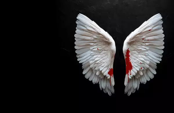 A pair of white angel wings displayed against a dark, black background. The lower parts of the wings are stained with vivid red, resembling blood splatter.