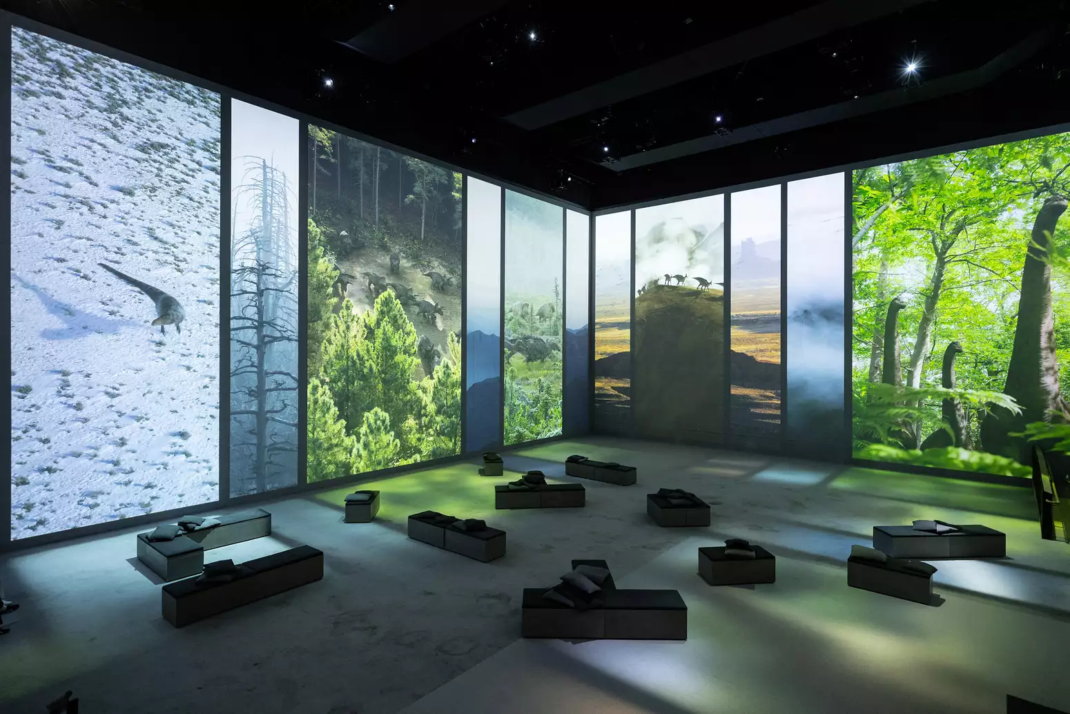 An image from Lightroom's Prehistoric Planet: Discovering Dinosaurs showing multiple screens filled with dinosaurs