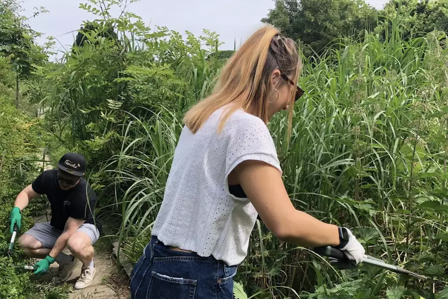 Photo of two people gardening