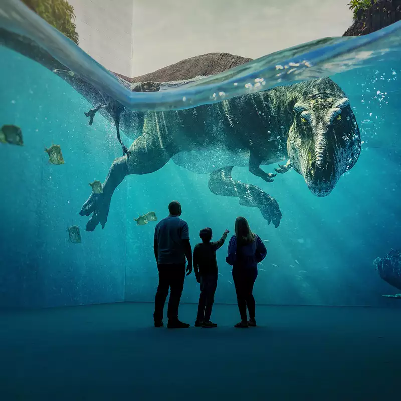 Three people looking at a giant dinosaur swimming in Lightroom