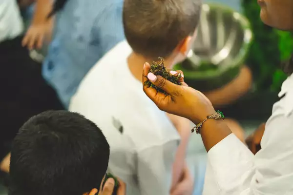 Image of a child's hand holding moss