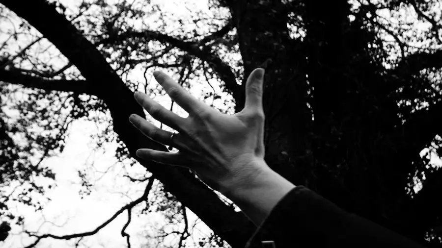 Black and white photo of a hand stretched out in front of a tree