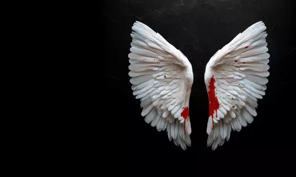 A pair of white angel wings displayed against a dark, black background. The lower parts of the wings are stained with vivid red, resembling blood splatter.