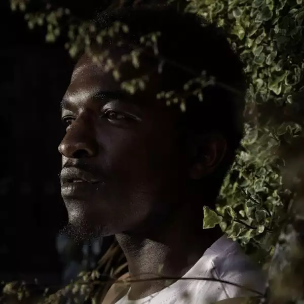 Photograph of Wezlees partially obscured by leaves and branches