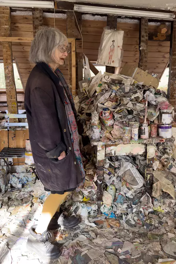 Artist Rose Wylie
