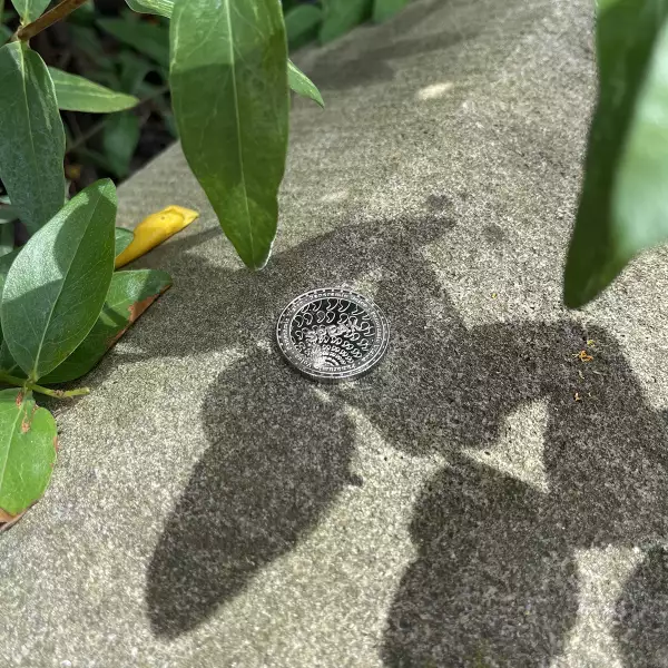 Photo of a coin from The Find