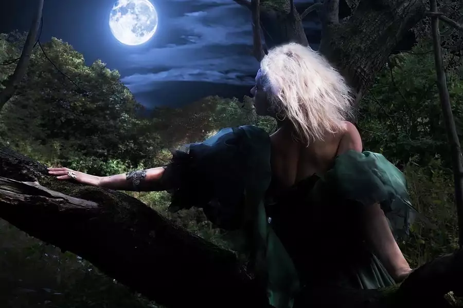 A person in a woodland setting looks at the moon with their back to the viewer.