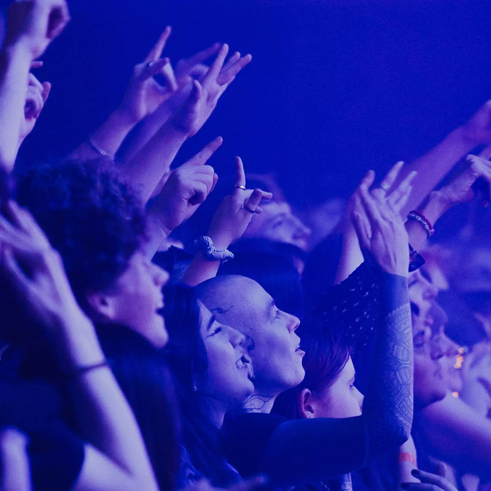 A crowd of people cheering and filming over the barrier in the Warehouse at Aviva Studios. The lighting is blue.
