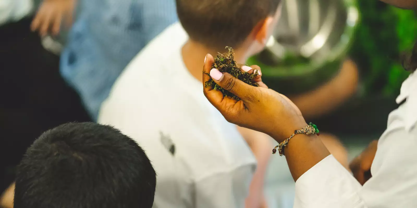 Image of a child's hand holding moss