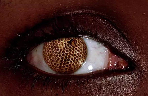 The image shows a close-up of a human eye, where the iris is replaced by a honeycomb pattern, giving the eye an unnatural, surreal appearance. The honeycomb texture has a small bee inside, creating a striking and unsettling visual contrast. The skin around the eye is dark, and the detail in the eyelashes and texture of the skin is emphasised.