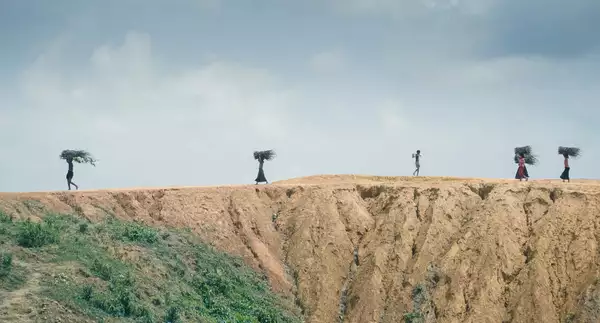 Five people walking across a dry landscape carrying sticks