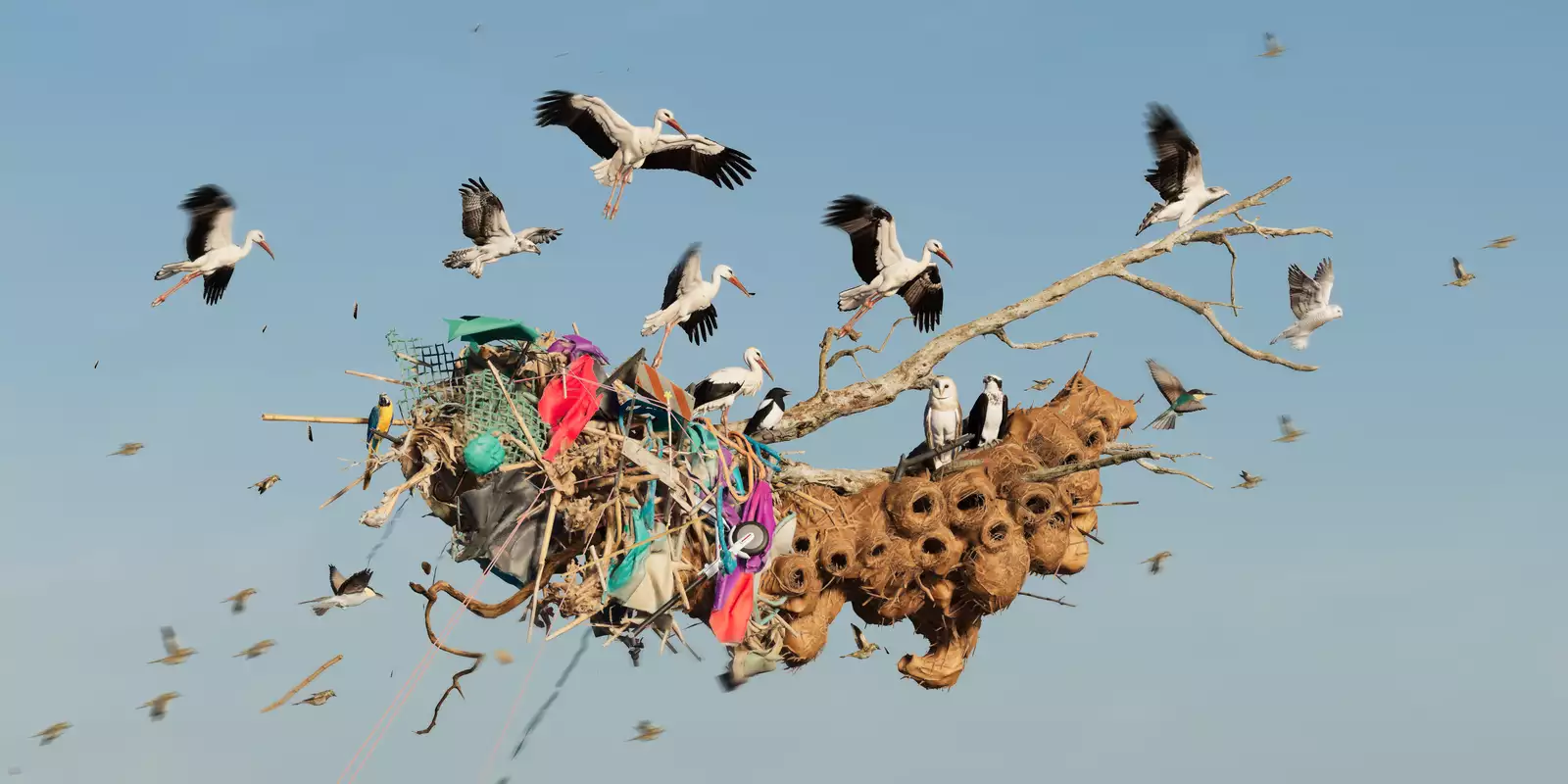 A mass of birds flying around a floating structure made of tangled debris and driftwood.
