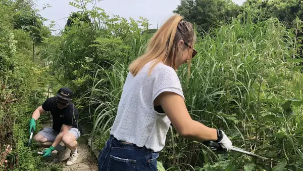Photo of two people gardening