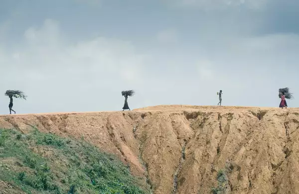 Five people walking across a dry landscape carrying sticks