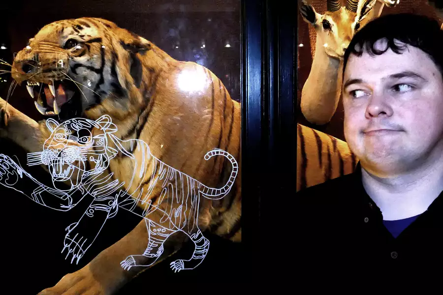 Andrew Johnstone stands next to a taxidermy tiger behind glass. A white line-art illustration of a tiger is superimposed on the glass in front of the display.