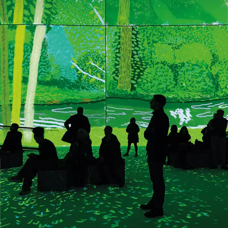 People sit and stand in David Hockney: Bigger & Closer (not smaller & further away) at Aviva Studios. Hockney's image of a forest is projected on the walls.