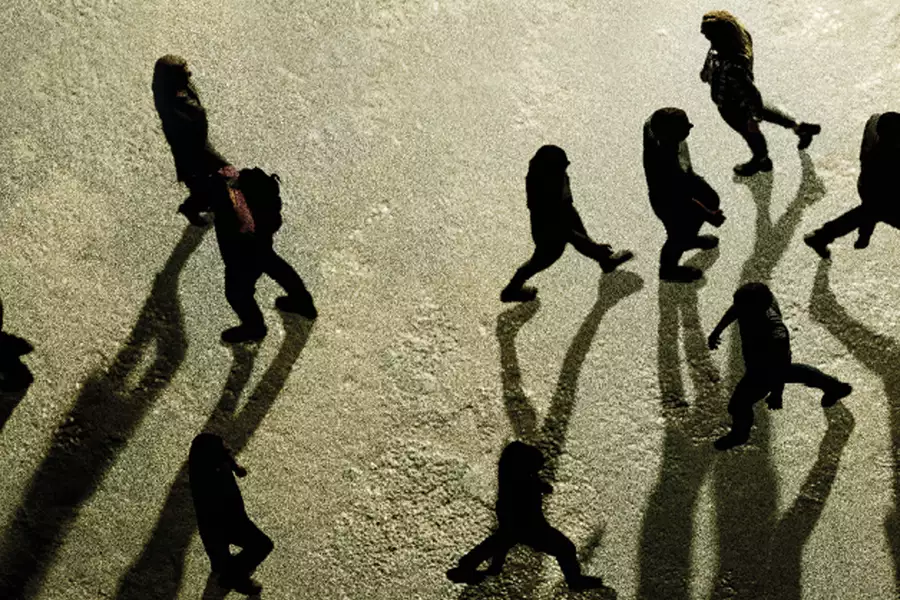 Aerial view of people walking with long shadows cast on a textured ground.