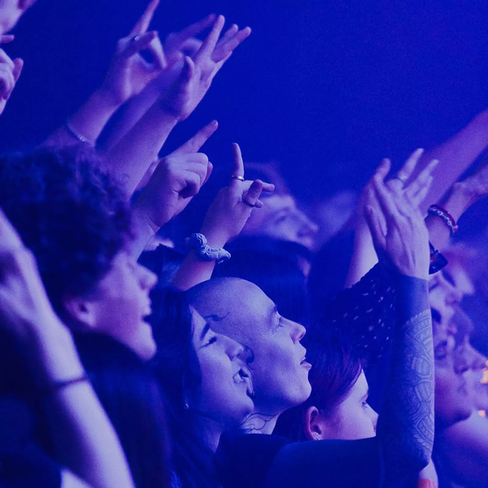 A crowd of people cheering and filming over the barrier in the Warehouse at Aviva Studios. The lighting is blue.
