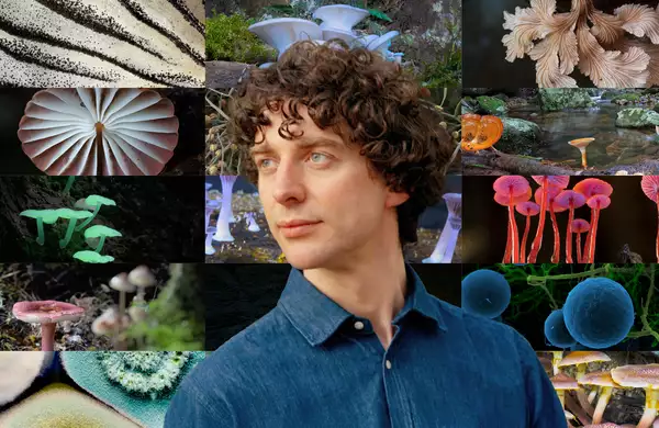 Merlin Sheldrake surrounded by various images of fungi and mushrooms. The mushrooms display a wide range of colours, shapes, and textures.