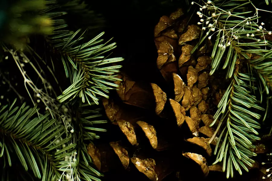 Close of photo of a Christmas tree with wooden decorations